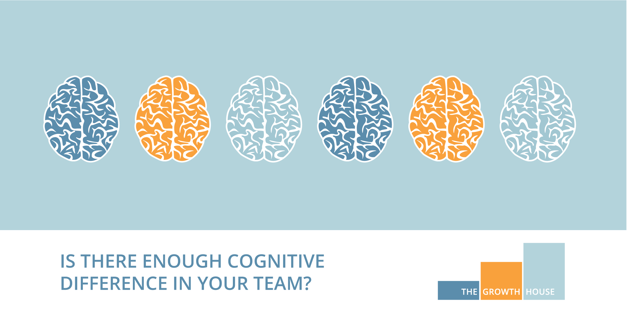 Is there enough cognitive difference in your team