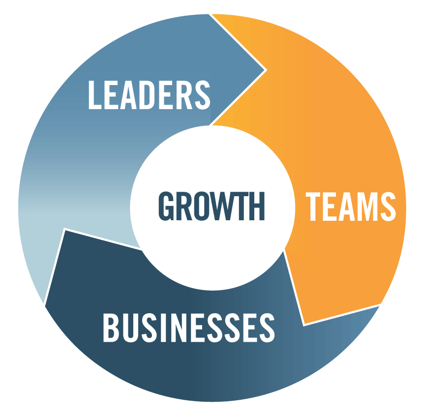Leaders Teams Businesses